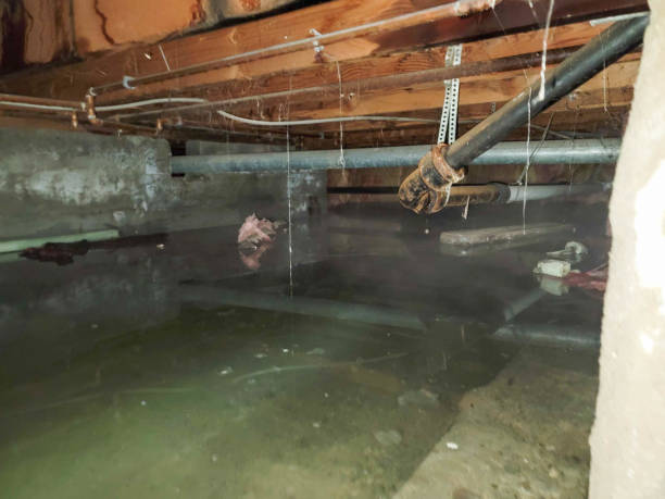 Best 24-hour water damage restoration  in Albany, TX