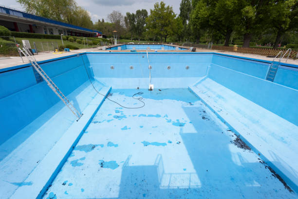 Best Flood damage cleanup  in Albany, TX