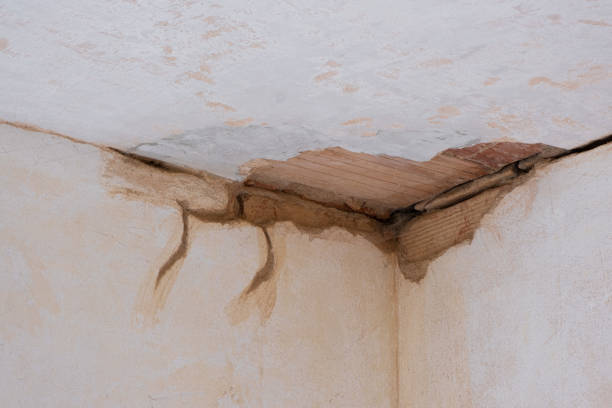 Best Professional water damage repair  in Albany, TX