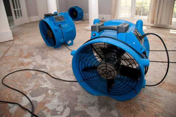 Best 24/7 water damage repair  in Albany, TX