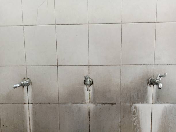 Water damage restoration mold remediation in Albany, TX